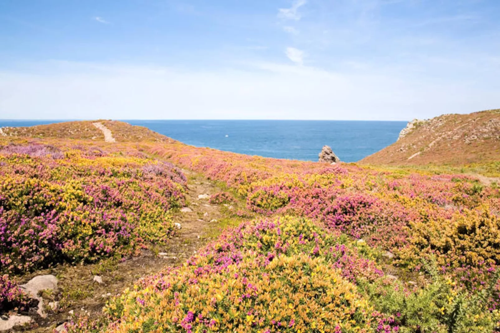 Maison à Erquy-Niet-getagd
