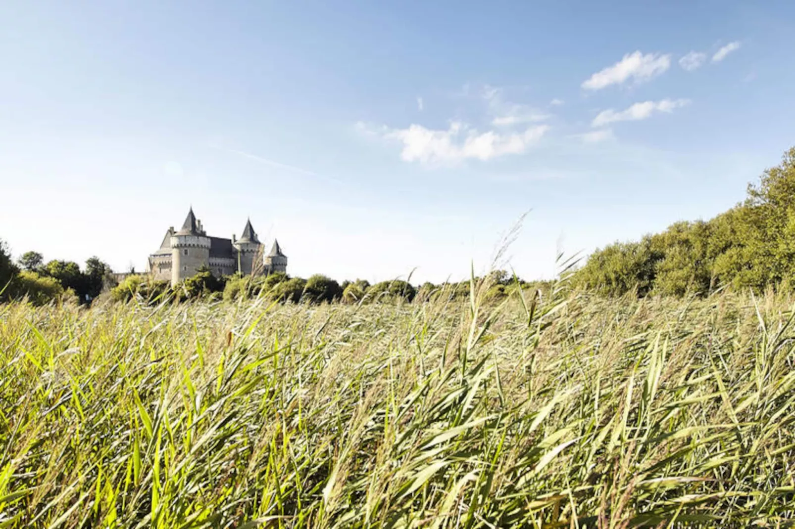 Maison à Sarzeau-Niet-getagd