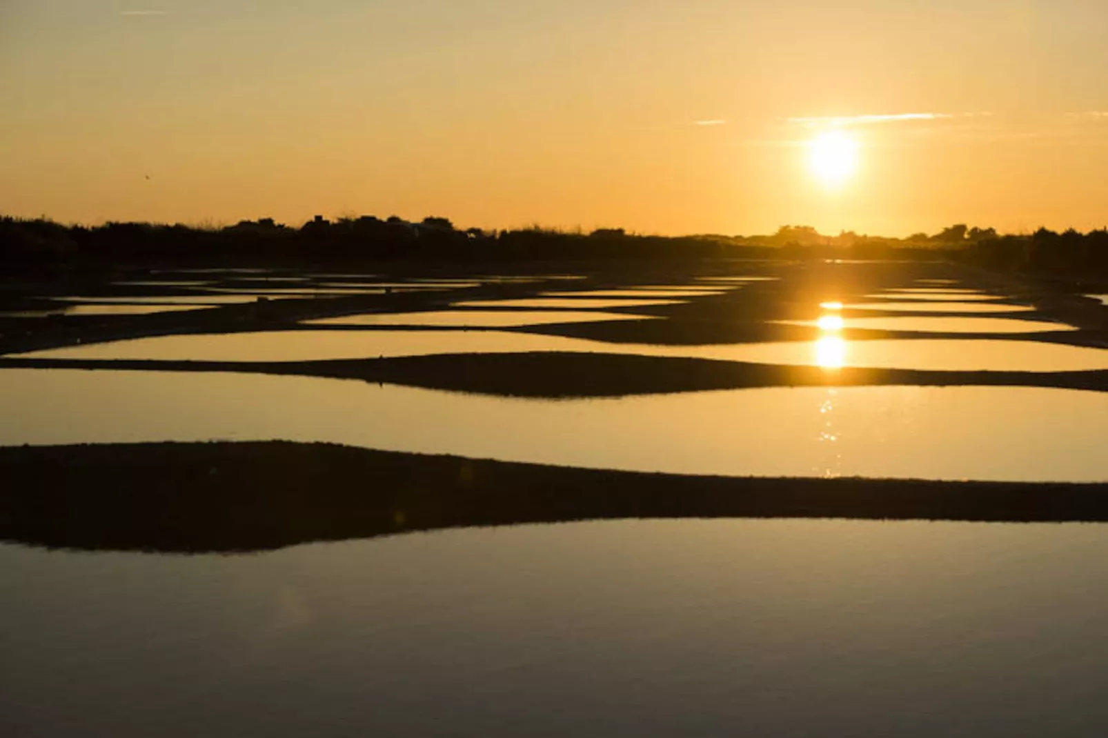 Maison à La guerinière - Ile de Noirmoutier-Niet-getagd