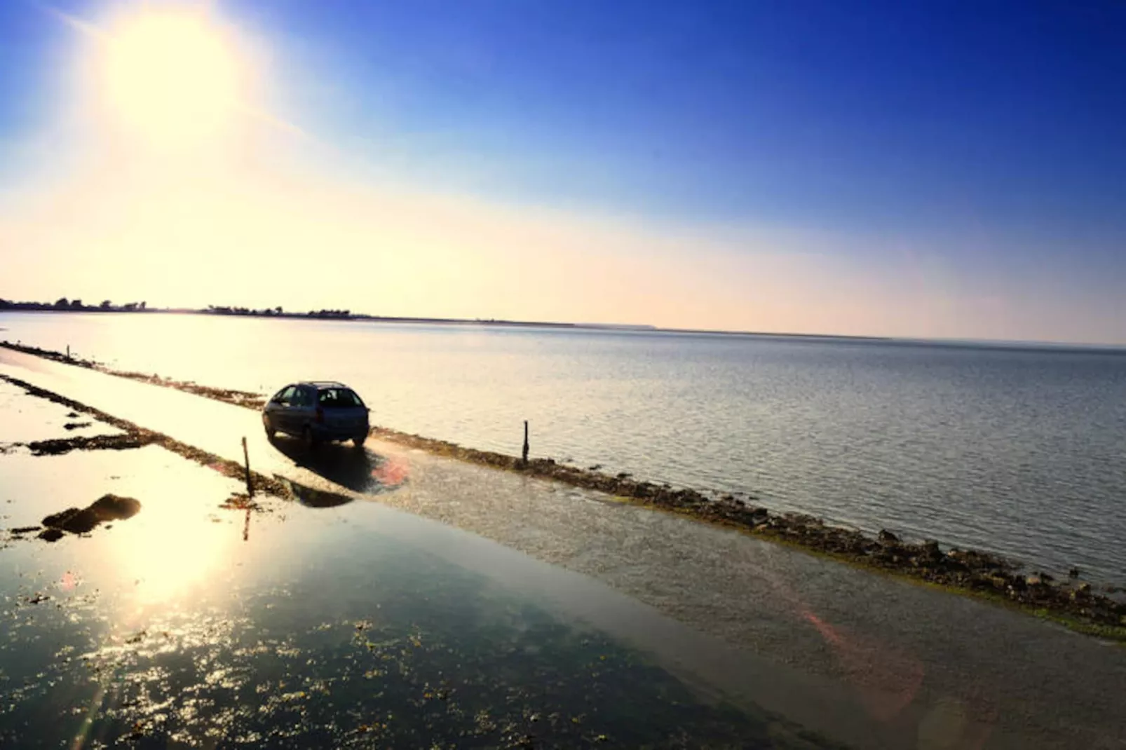 Maison à Noirmoutier-Niet-getagd