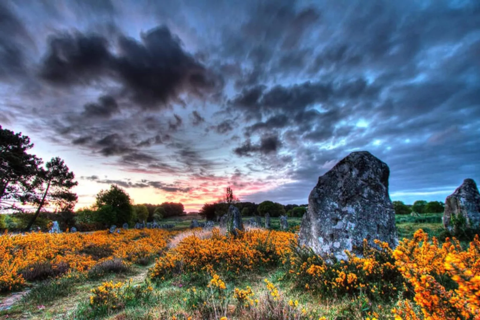 Appartements à Carnac-Niet-getagd
