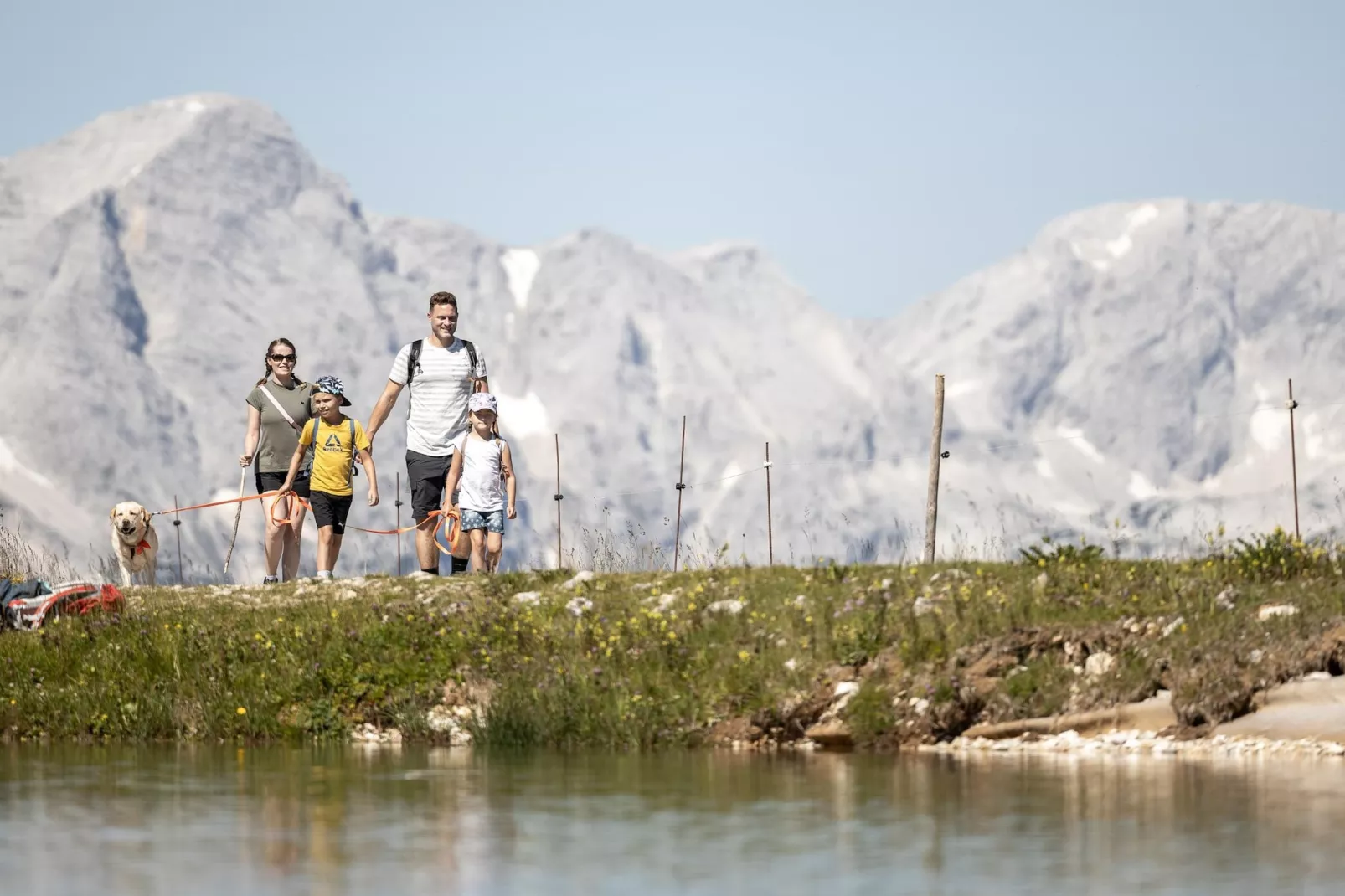 Schiederweiher-Gebieden zomer 20km
