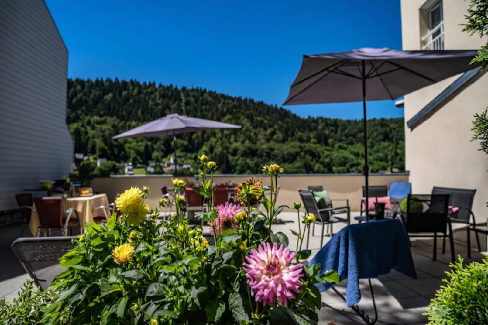 Maison à Le Mont Dore-Niet-getagd