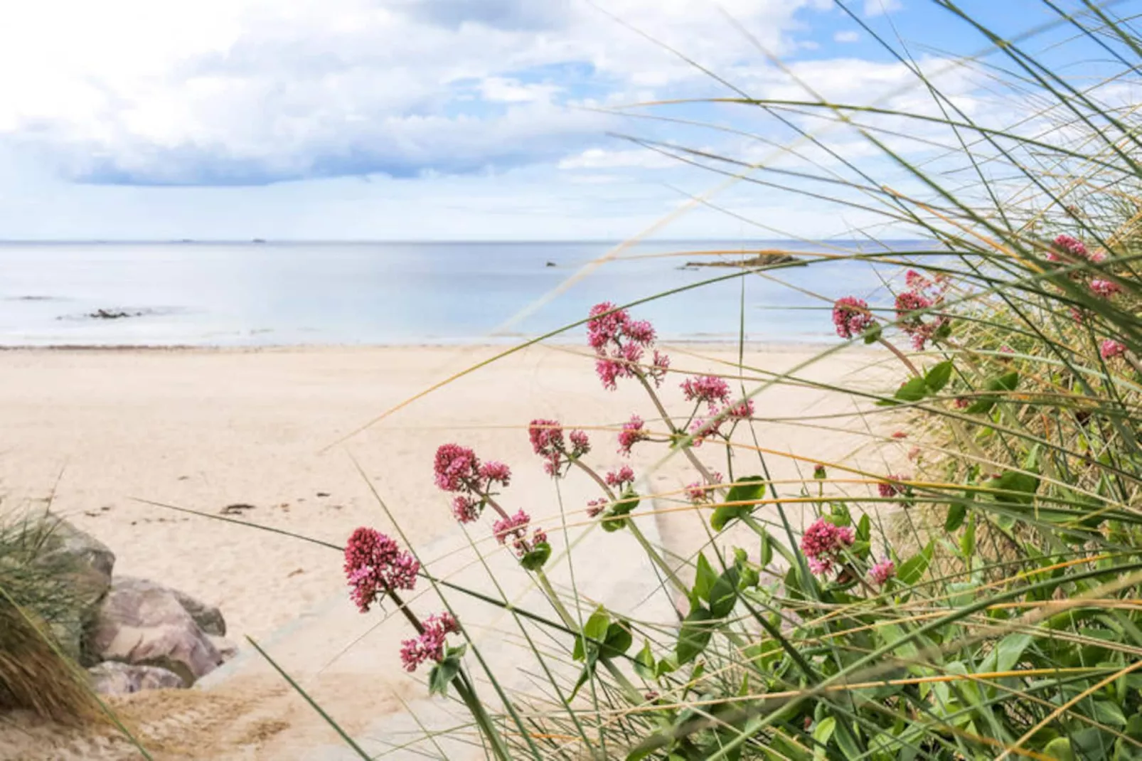 Maison à Erquy-Niet-getagd
