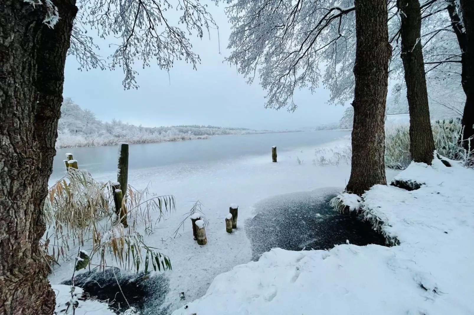 Seeschwalbe Classic 306-Gebied winter 5km