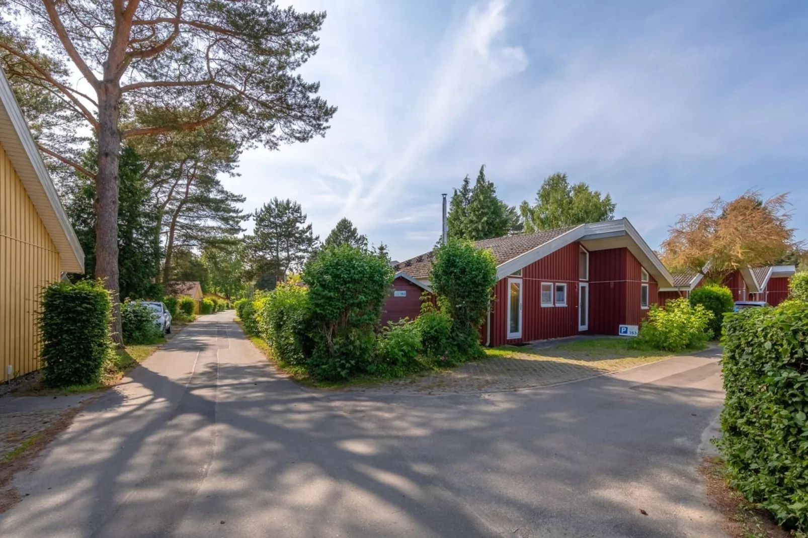 FH Seeschwalbe 163-Gebieden zomer 1km