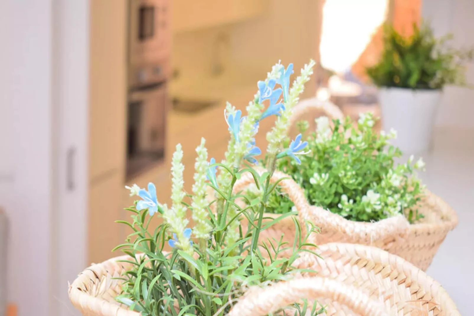 Maison à Muro-Niet-getagd