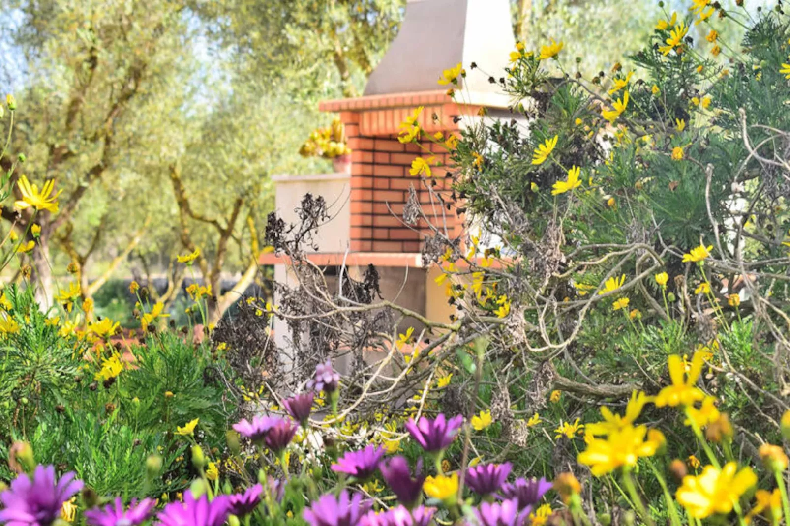 Maison à Ariany-Niet-getagd