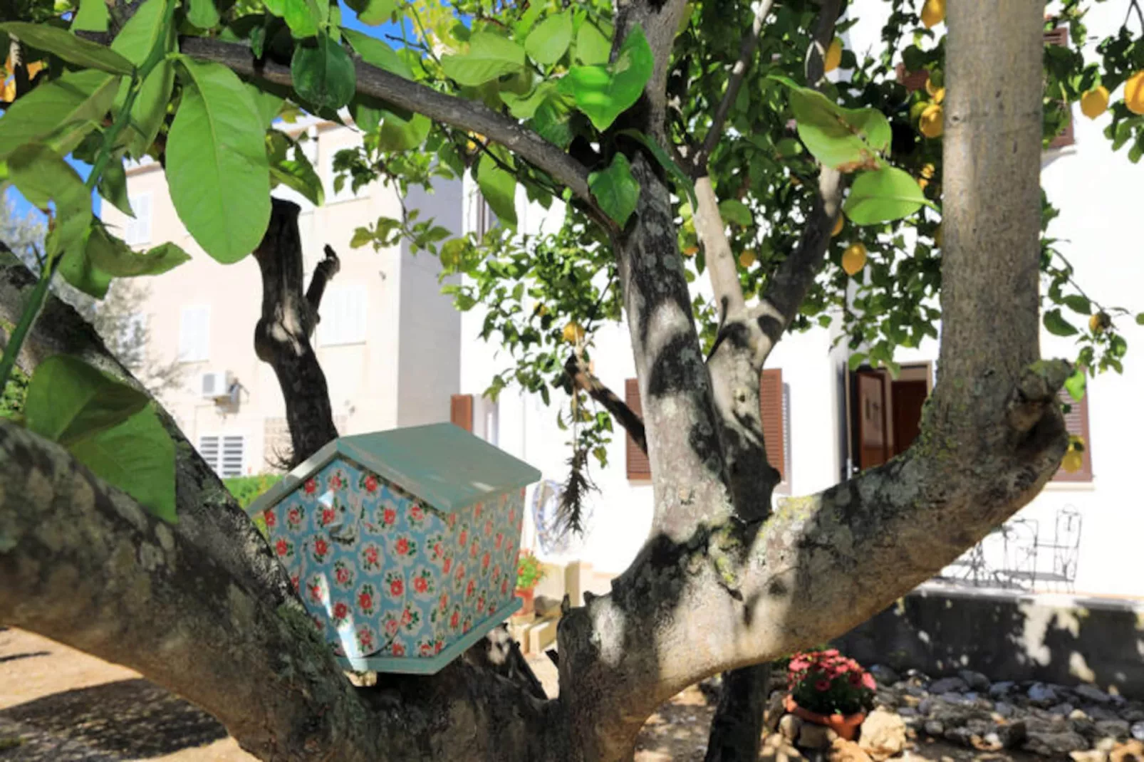 Maison à Alcúdia - Port d'Alcúdia-Niet-getagd