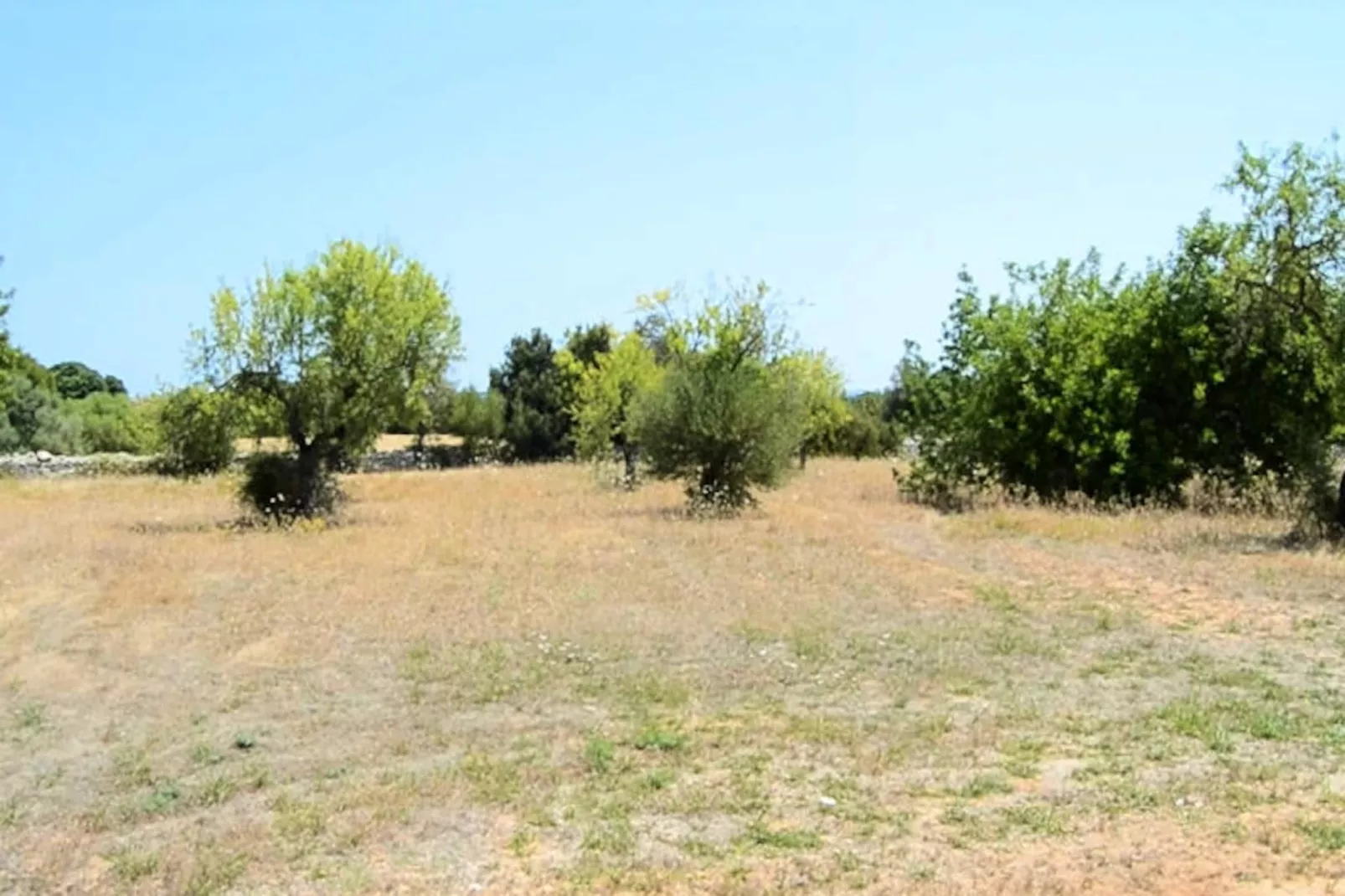 Maison à Llubí-Niet-getagd