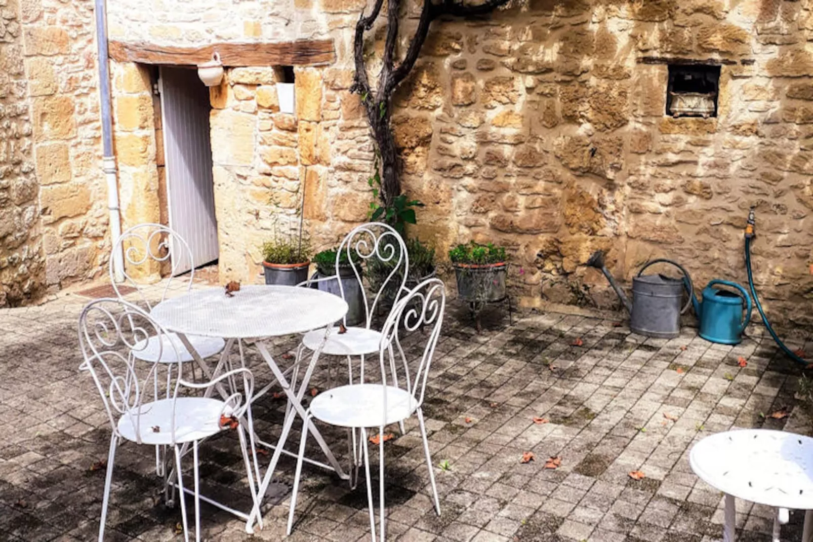 Maison à Saint Leon sur Vezere-Niet-getagd