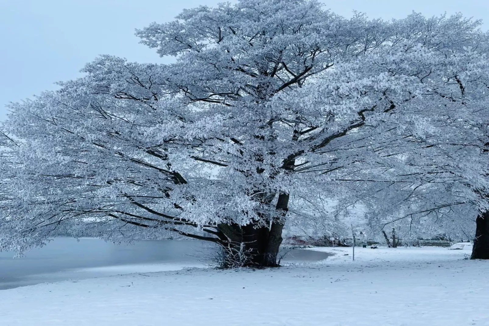 Seeschwalbe Classic 306-Gebied winter 5km