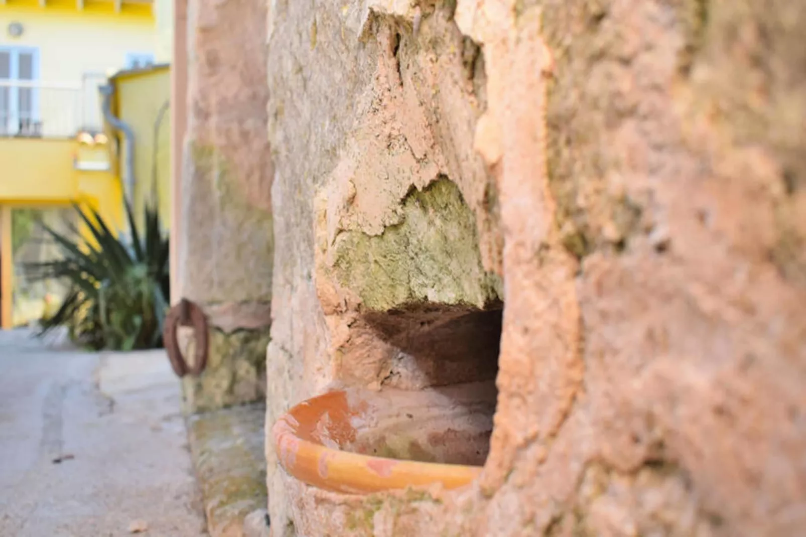 Maison à Muro-Niet-getagd