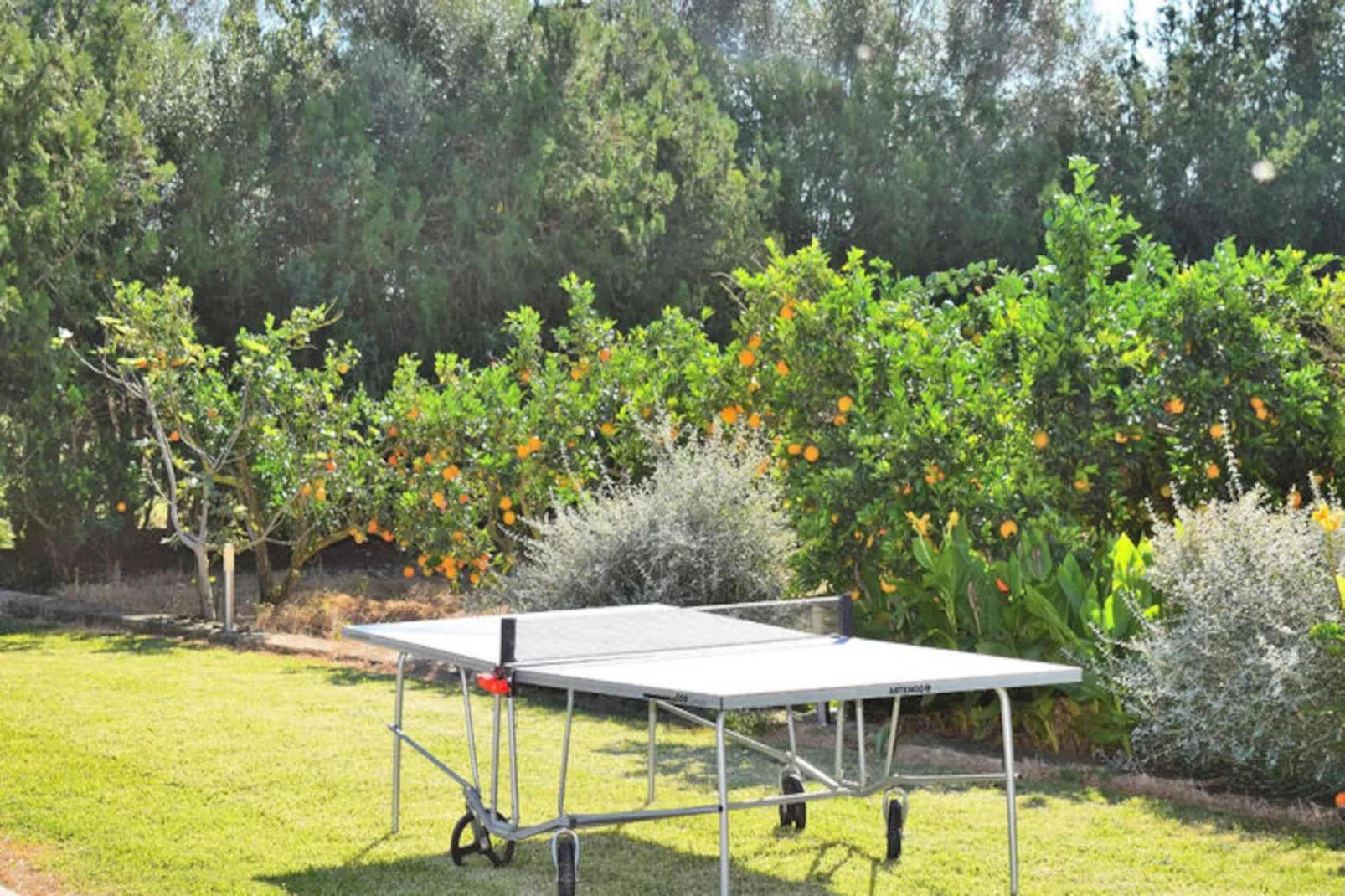 Maison à Muro-Niet-getagd