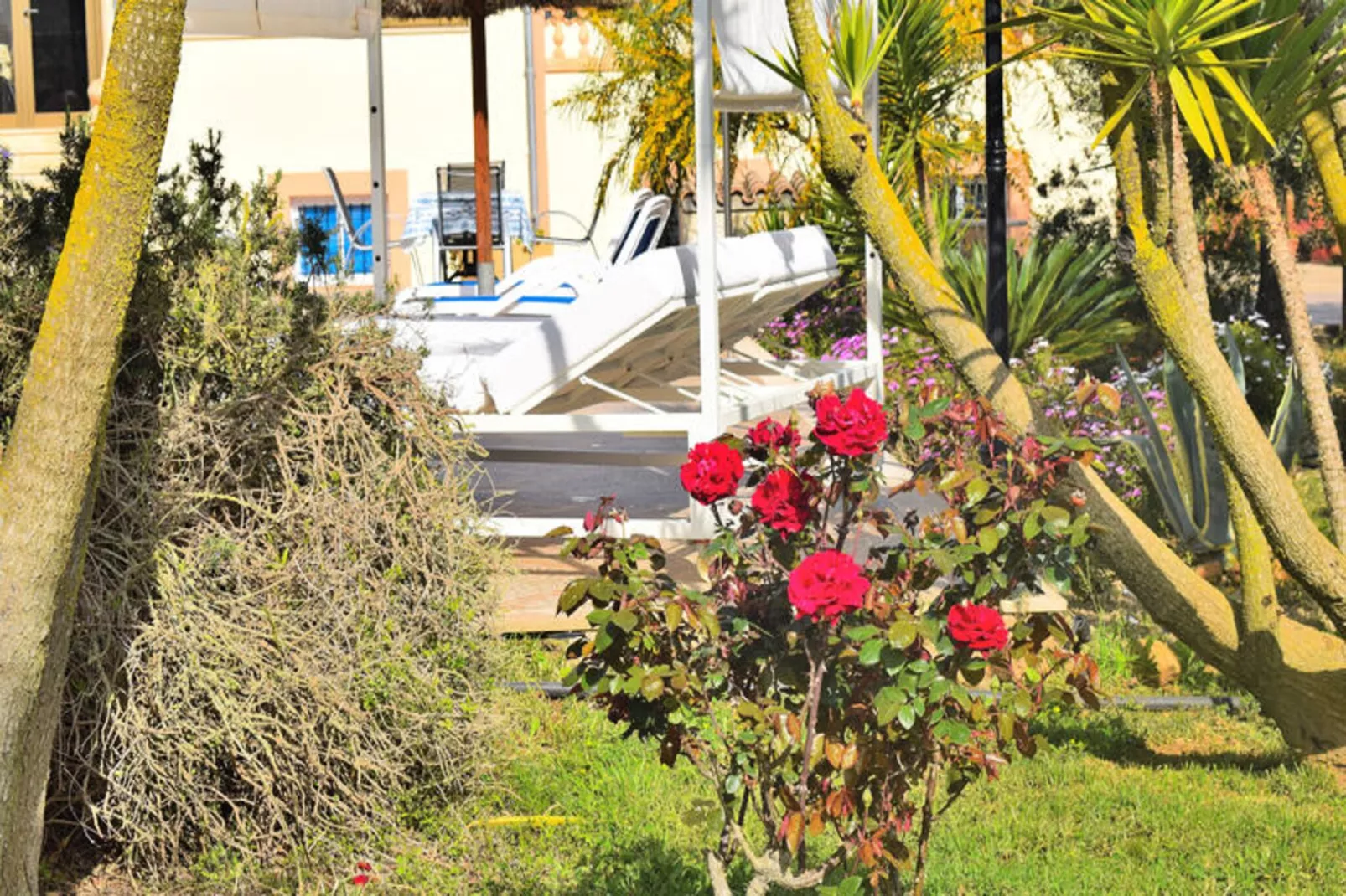 Maison à Ariany-Niet-getagd