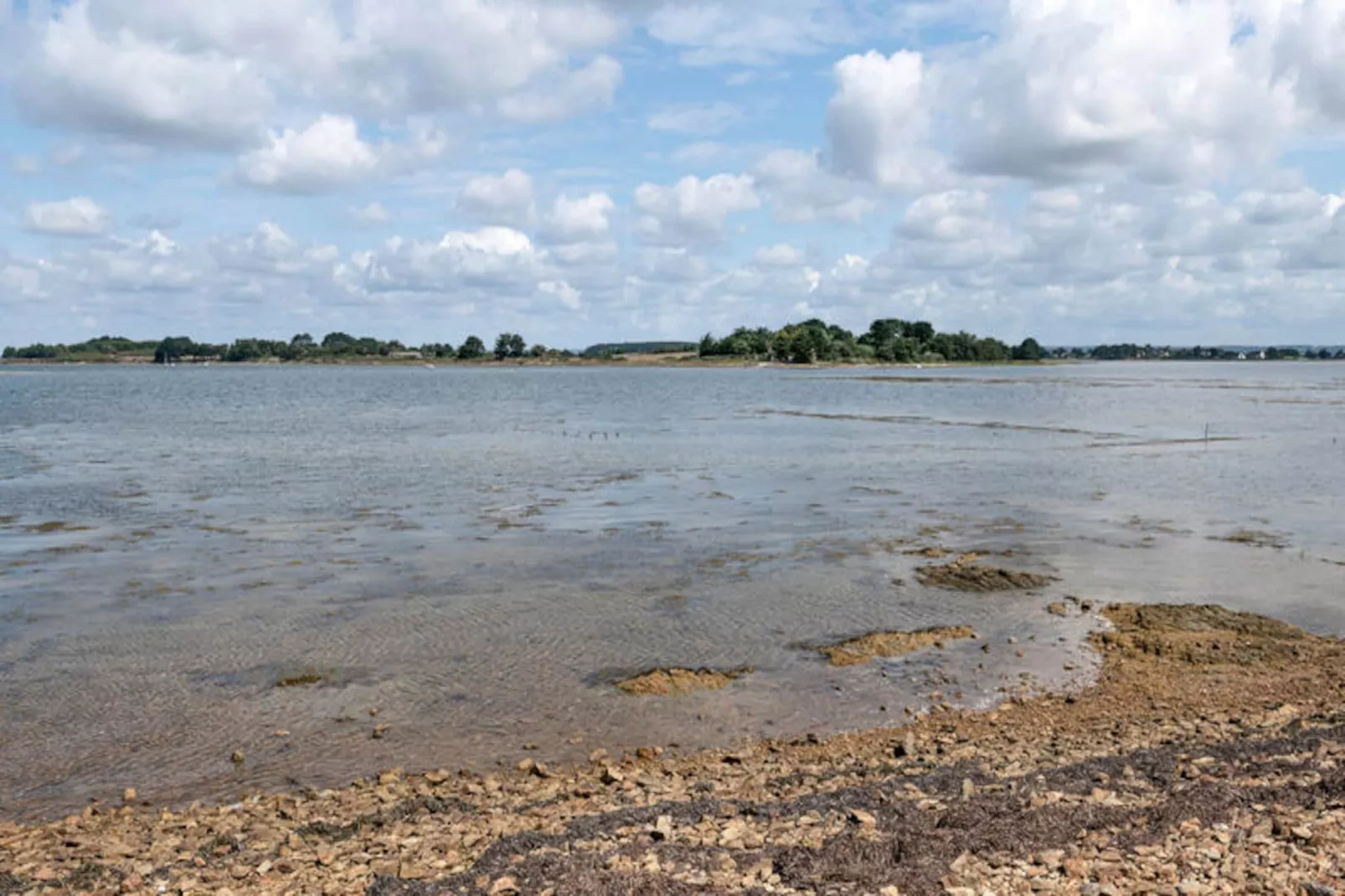 Maison à Saint-Armel-Niet-getagd