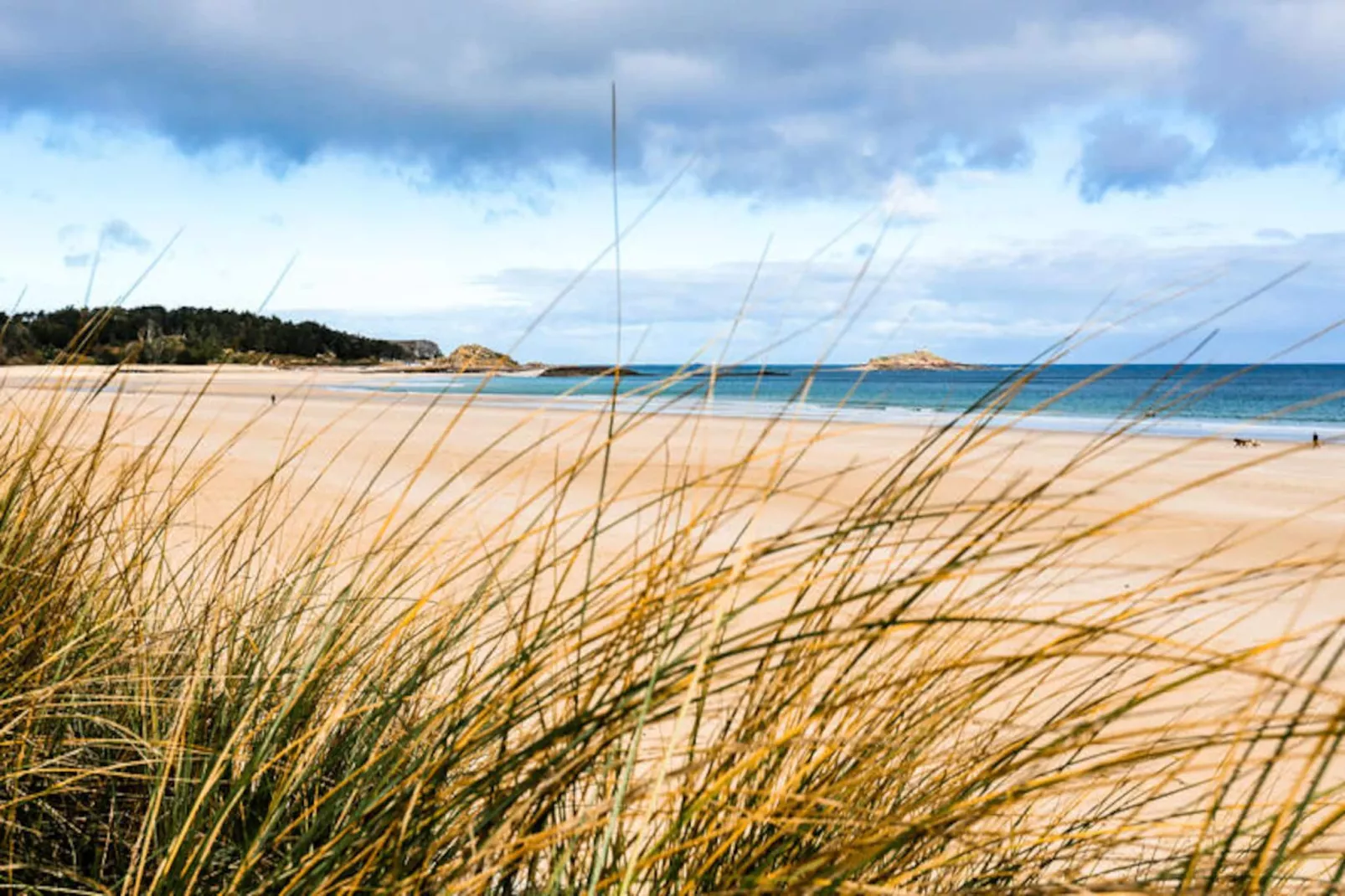 Maison à Erquy-Niet-getagd