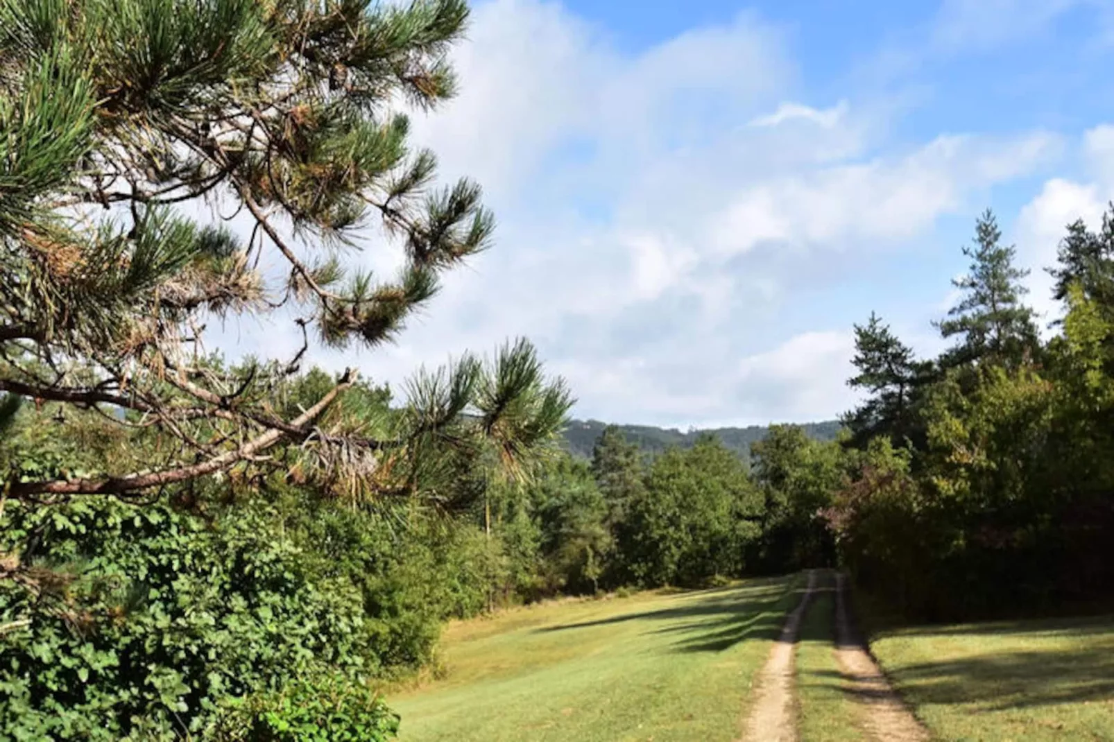 Maison à Peyzac le Moustier-Niet-getagd