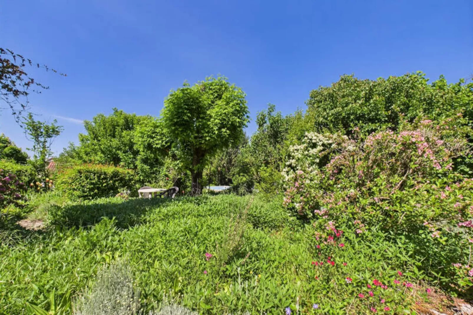 Maison à Montignac-Niet-getagd