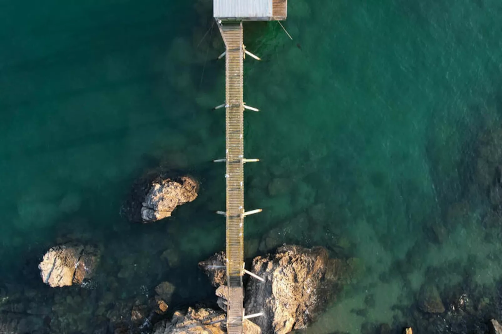 Appartements à Pornic-Niet-getagd