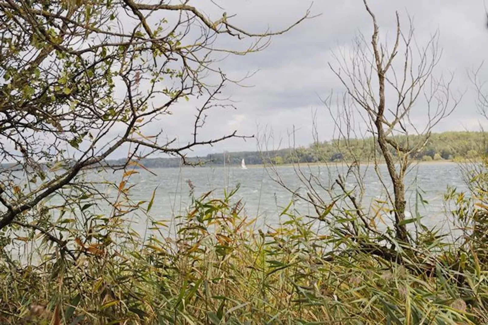 Seeschwalbe Classic 285