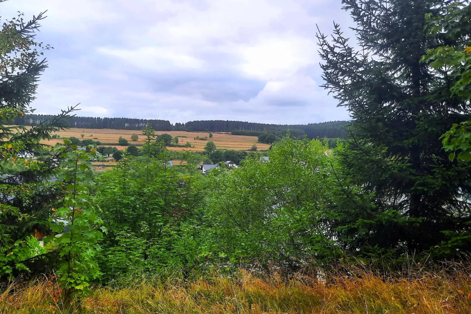 Skjoldenhof-Uitzicht zomer