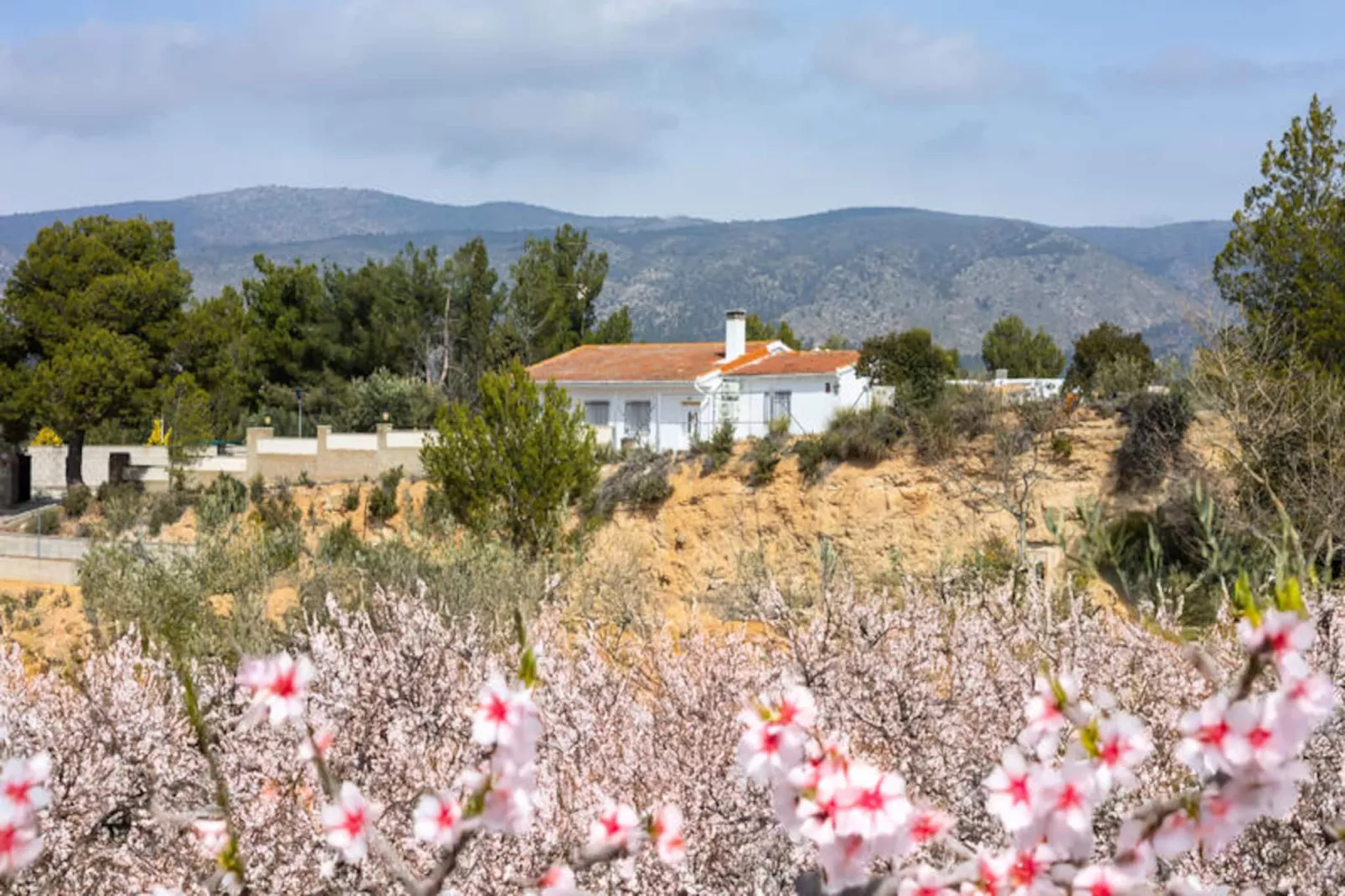 Maison à Ibi-Niet-getagd