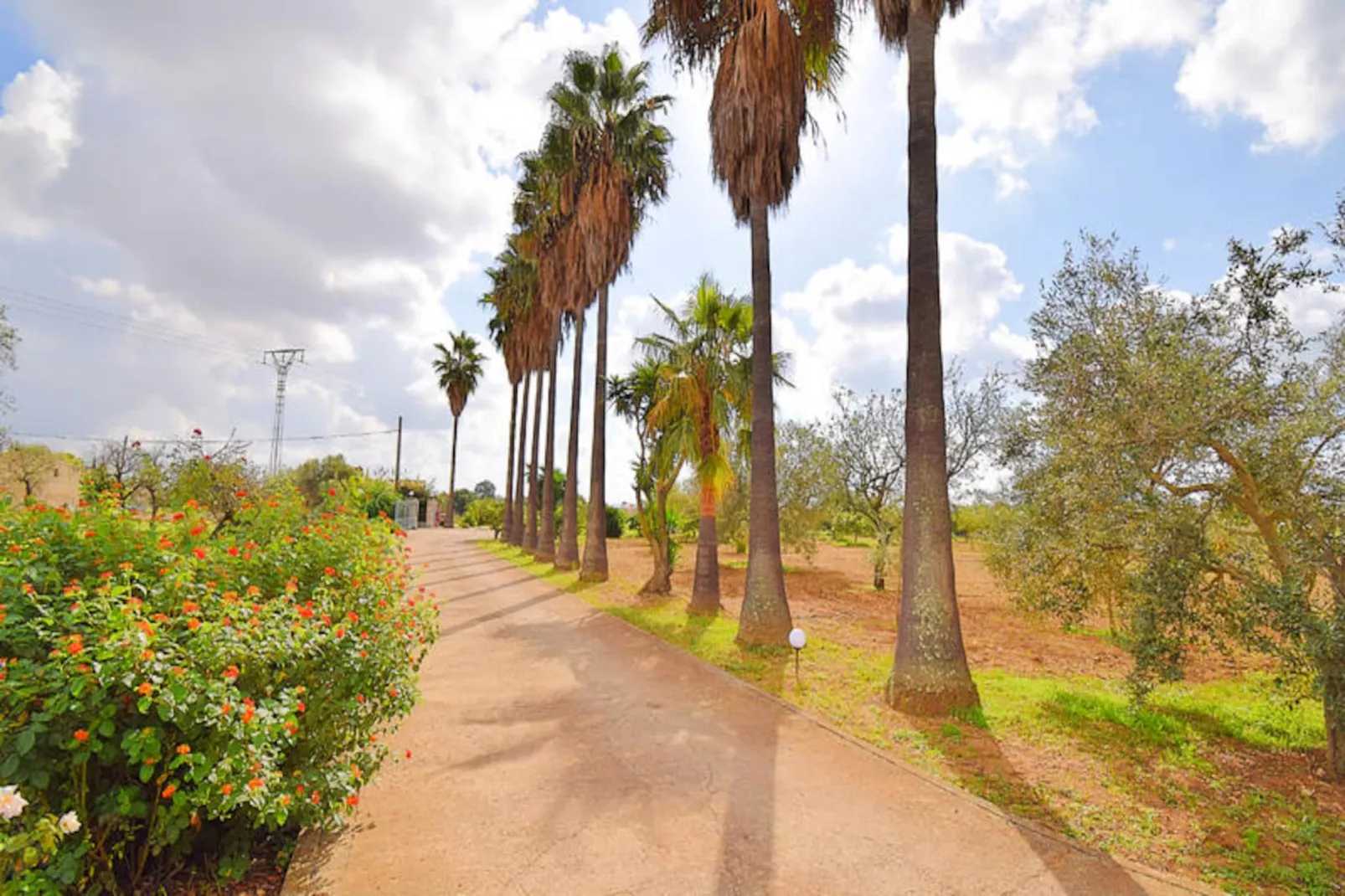 Maison à Campanet-Niet-getagd