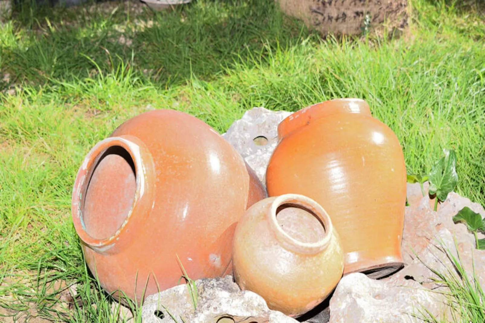 Maison à Muro-Niet-getagd