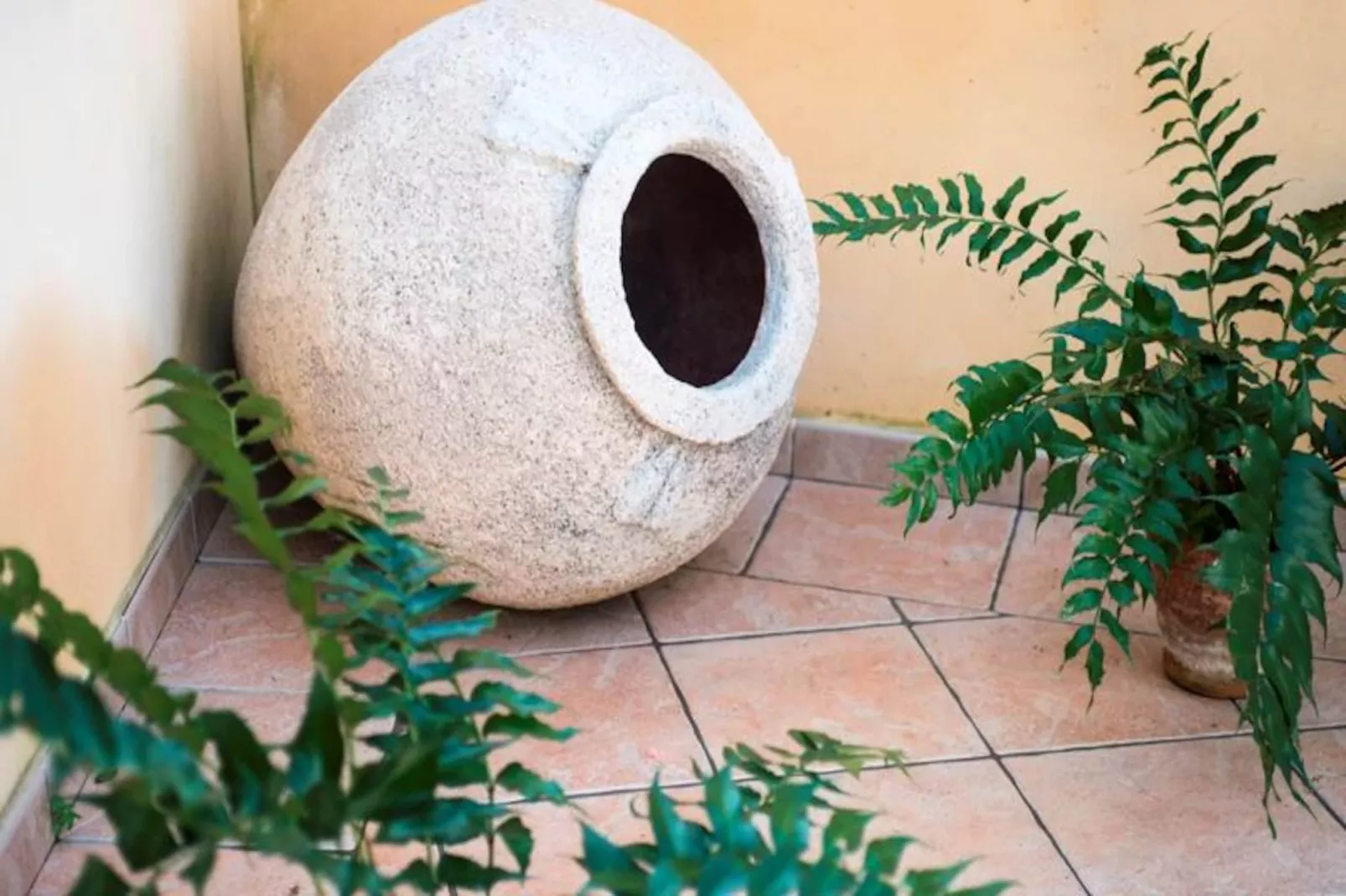 Maison à Muro-Niet-getagd