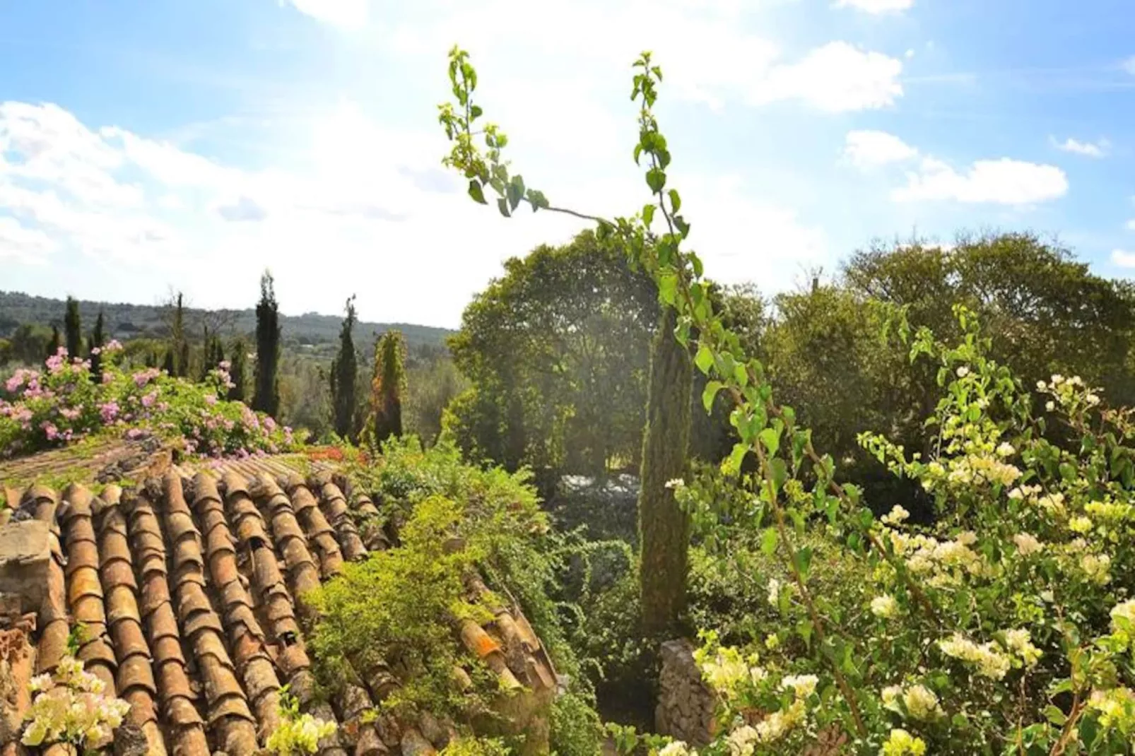 Maison à Llubí-Niet-getagd