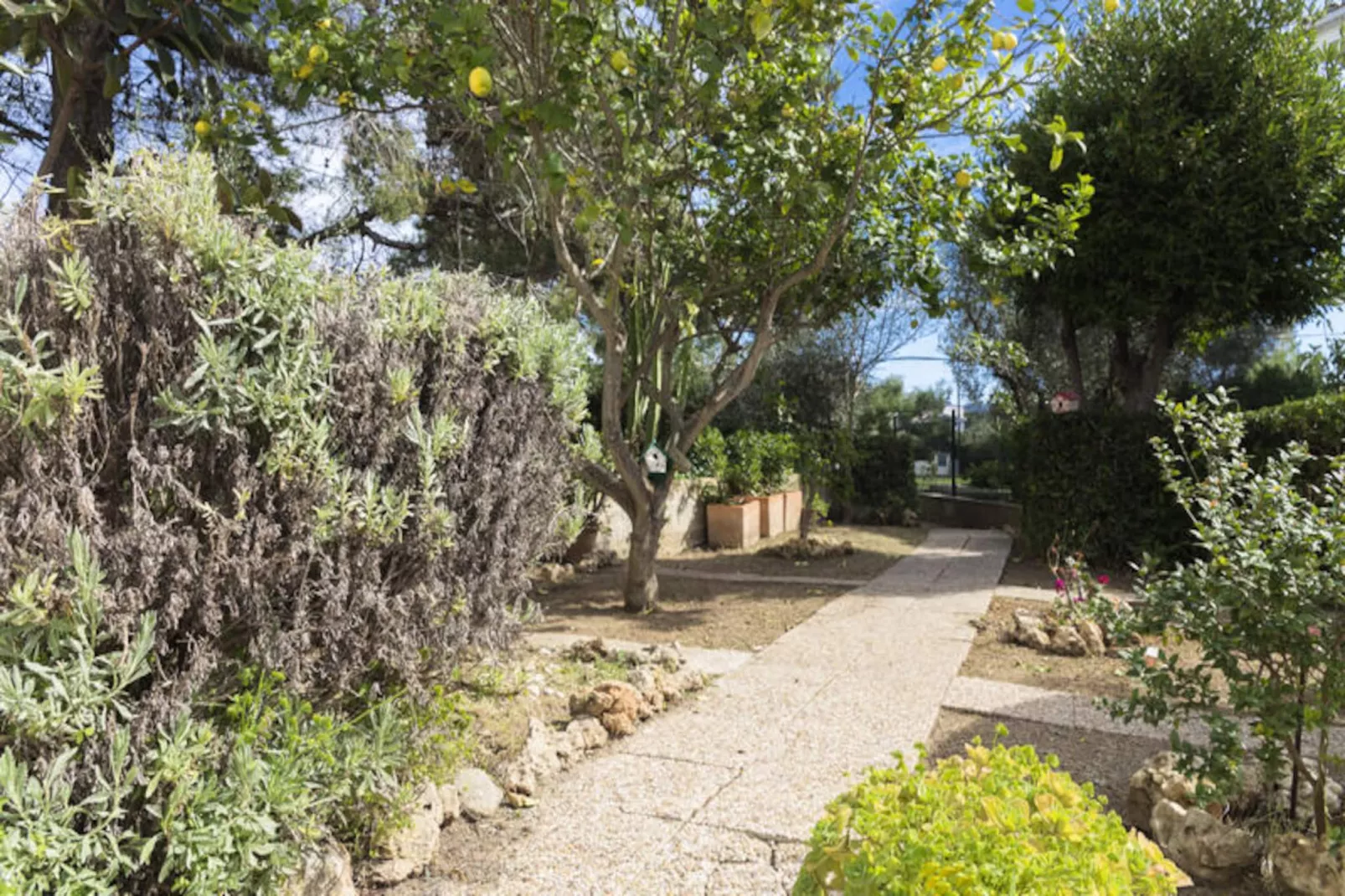 Maison à Alcúdia - Port d'Alcúdia-Niet-getagd