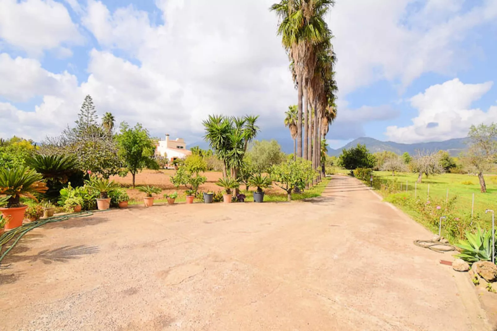 Maison à Campanet-Niet-getagd