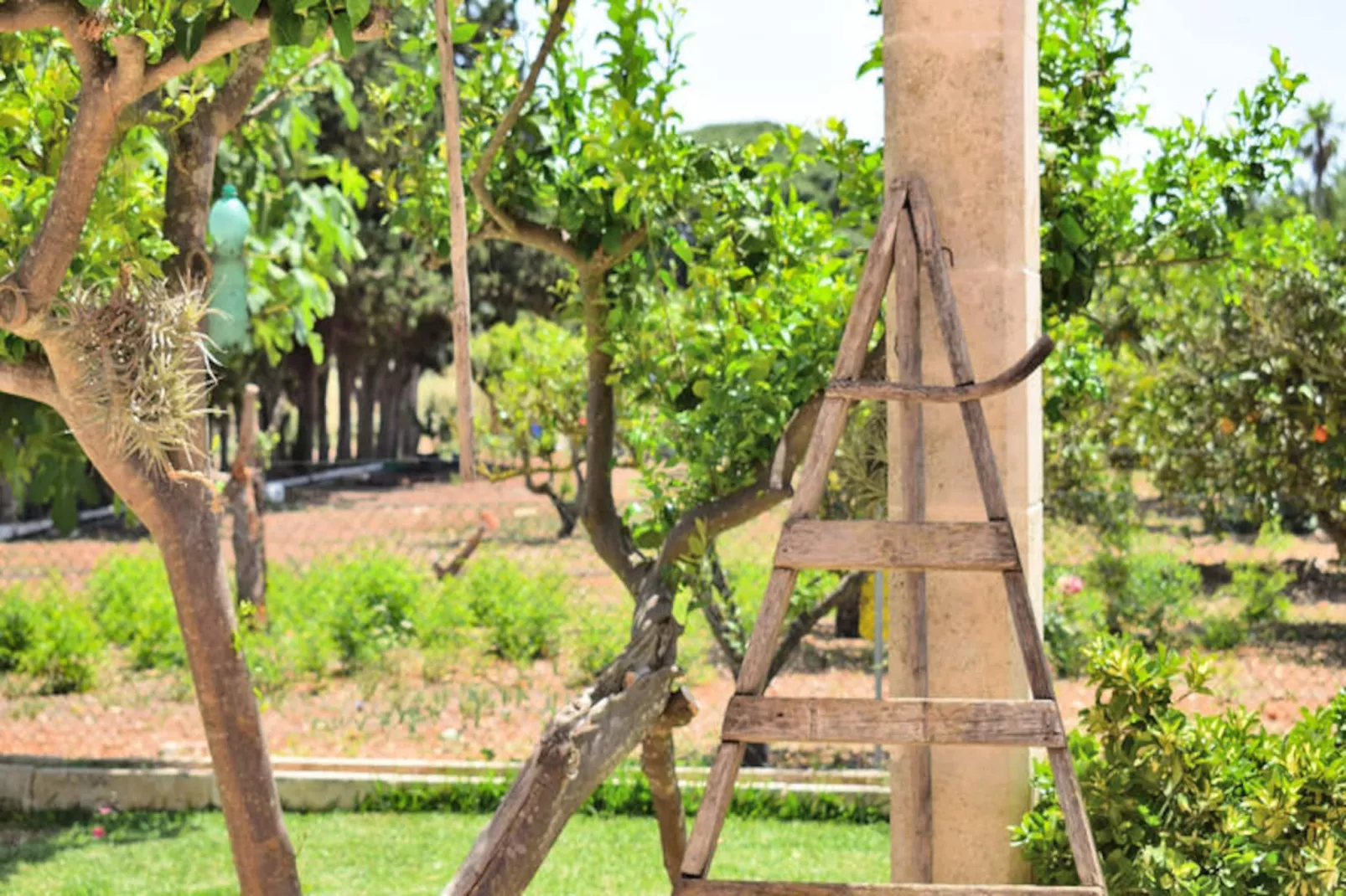 Maison à Muro-Niet-getagd