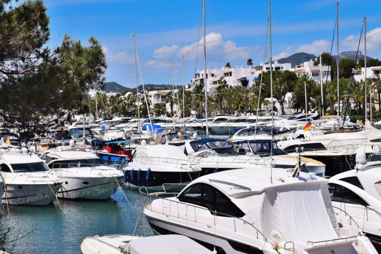 Maison à Cala d'Or-Niet-getagd