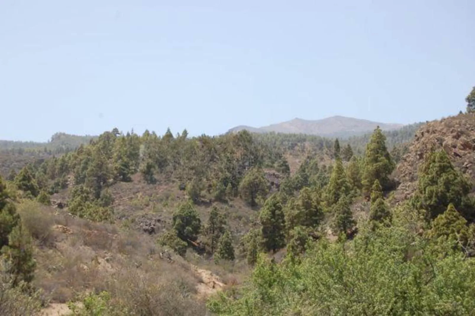 Casa Rural Sofia-Gebieden zomer 1km