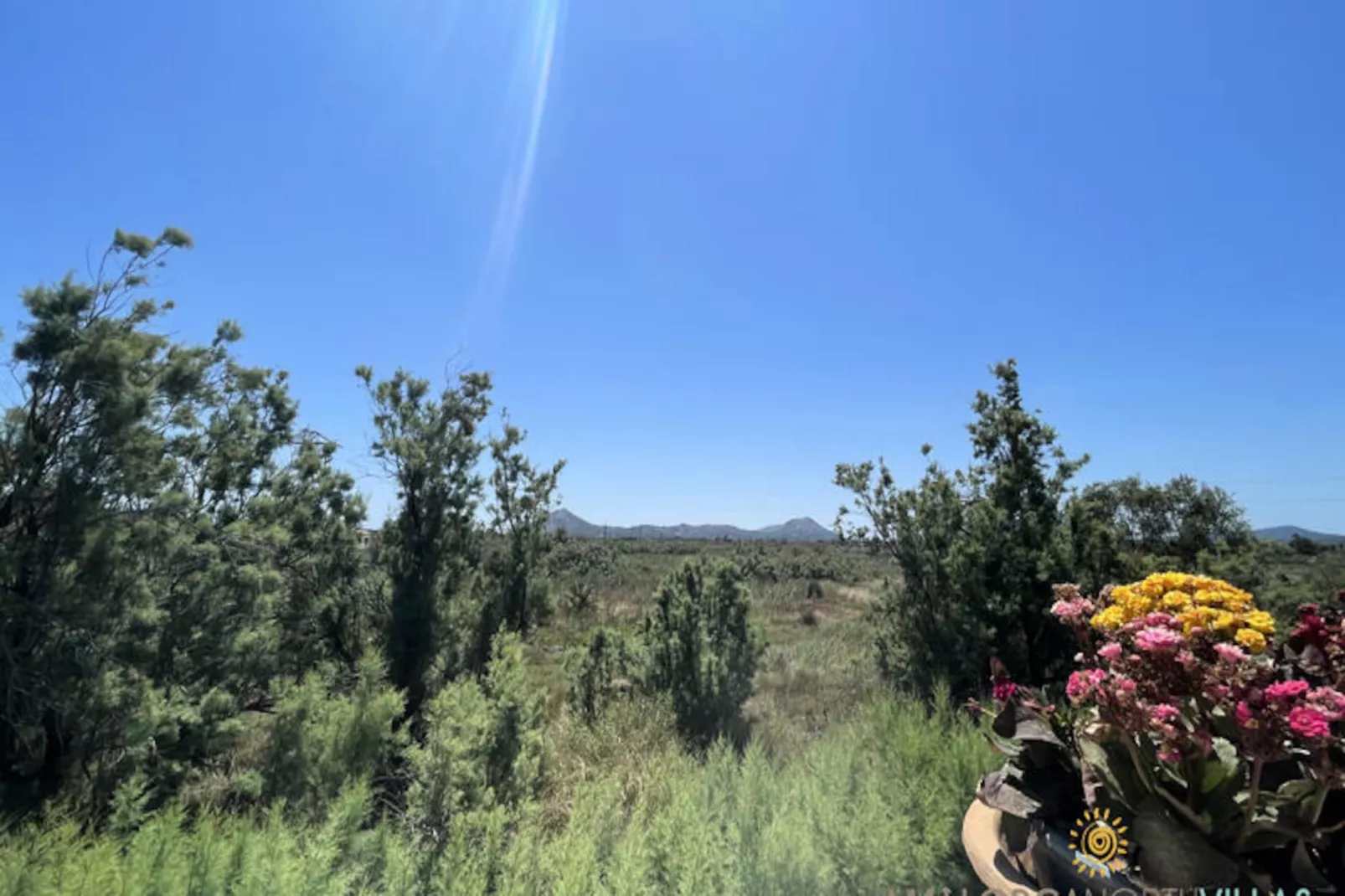 Appartements à Pollença - Port de Pollença-Niet-getagd