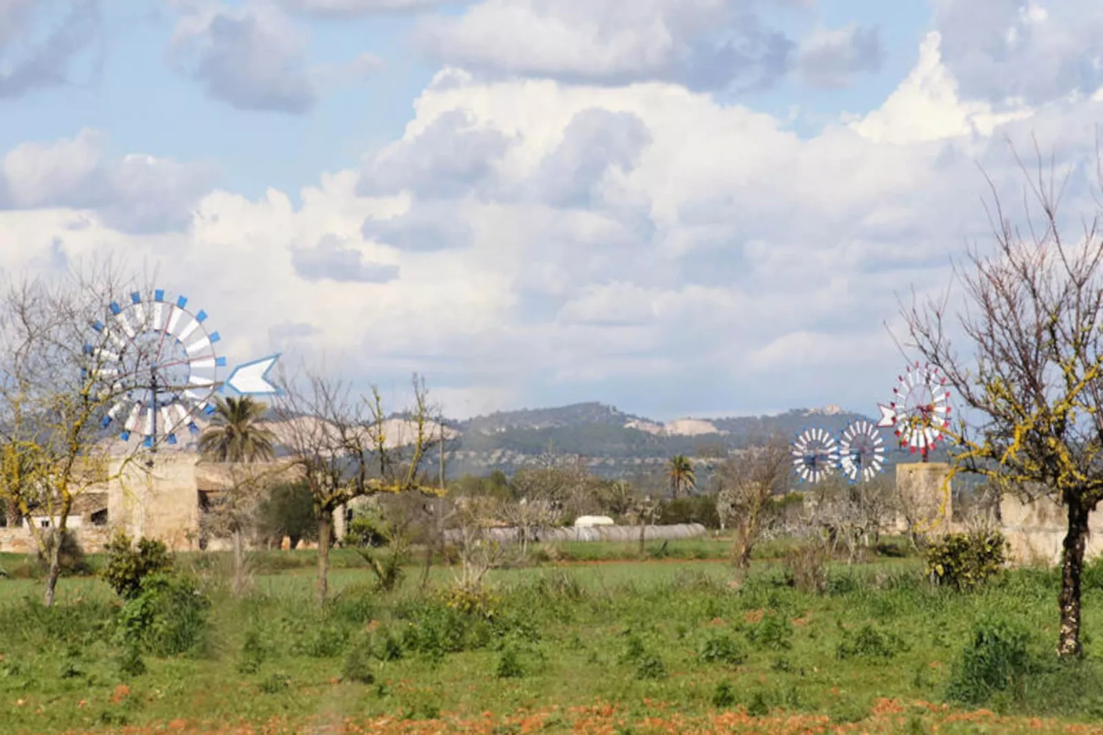 Maison à Campos-Niet-getagd