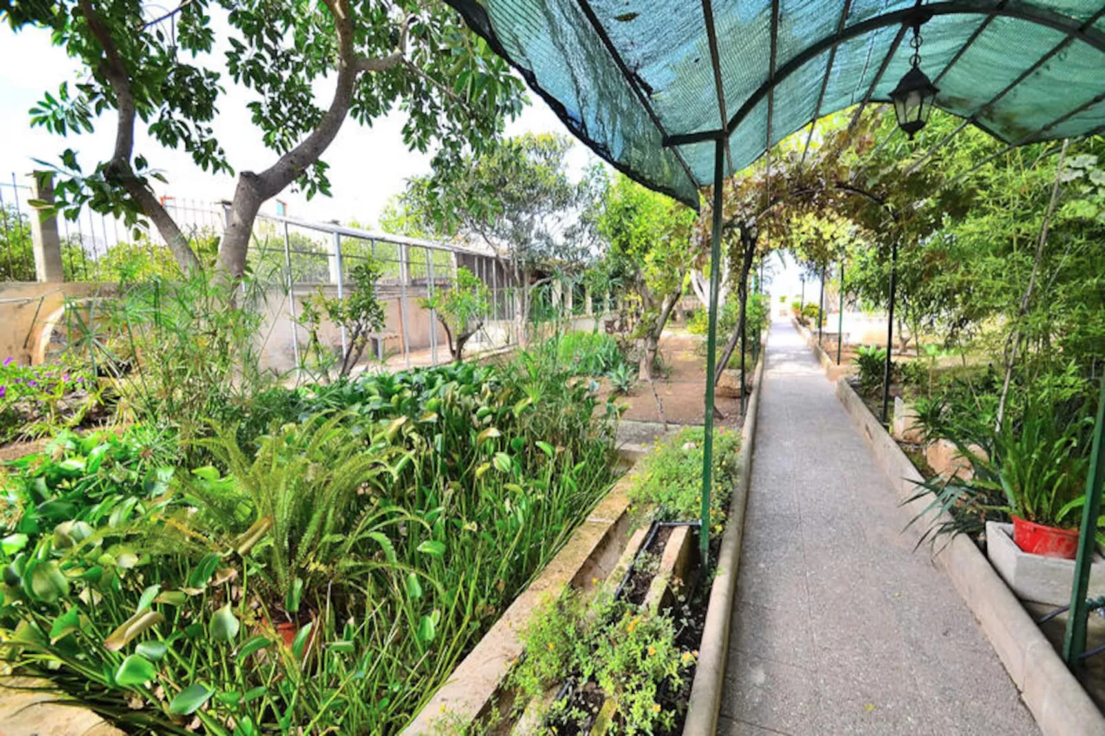 Maison à Muro-Niet-getagd