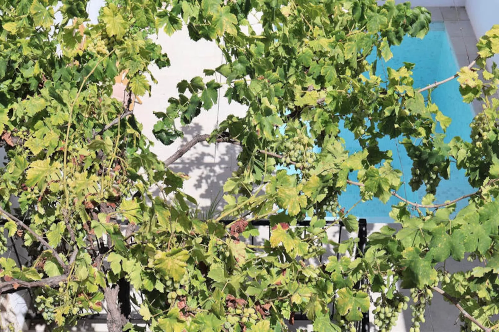 Maison à Muro-Niet-getagd