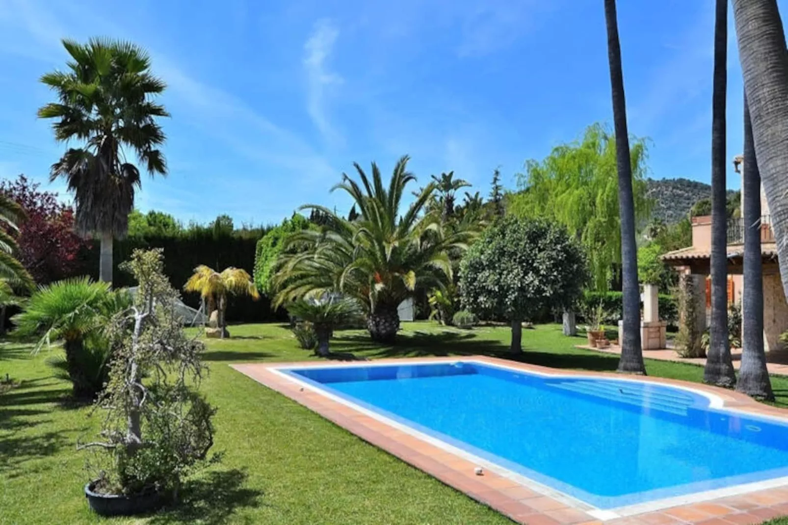 Maison à Binissalem-Niet-getagd