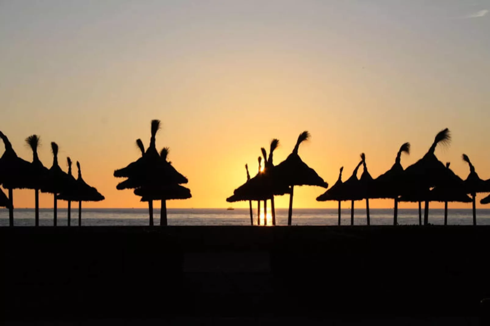 Maison à Muro-Niet-getagd