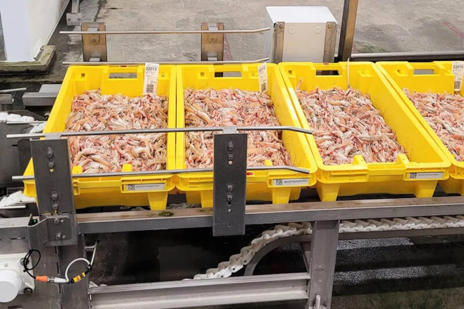 Maison à Le Guilvinec-Niet-getagd