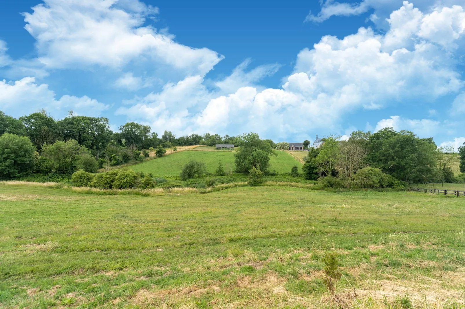 Huis Dries-Gebieden zomer 1km