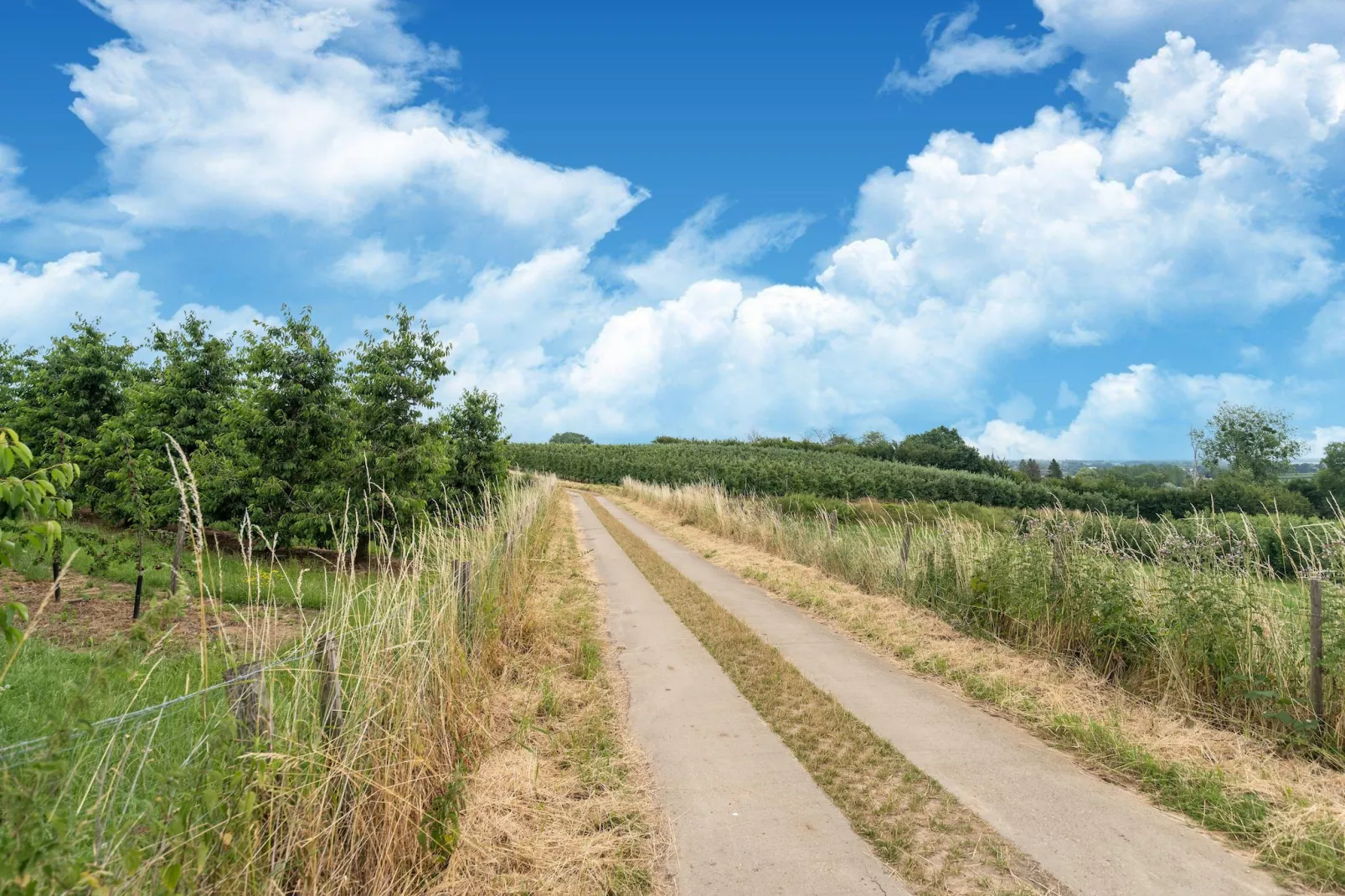 Huis Dries-Gebieden zomer 5km