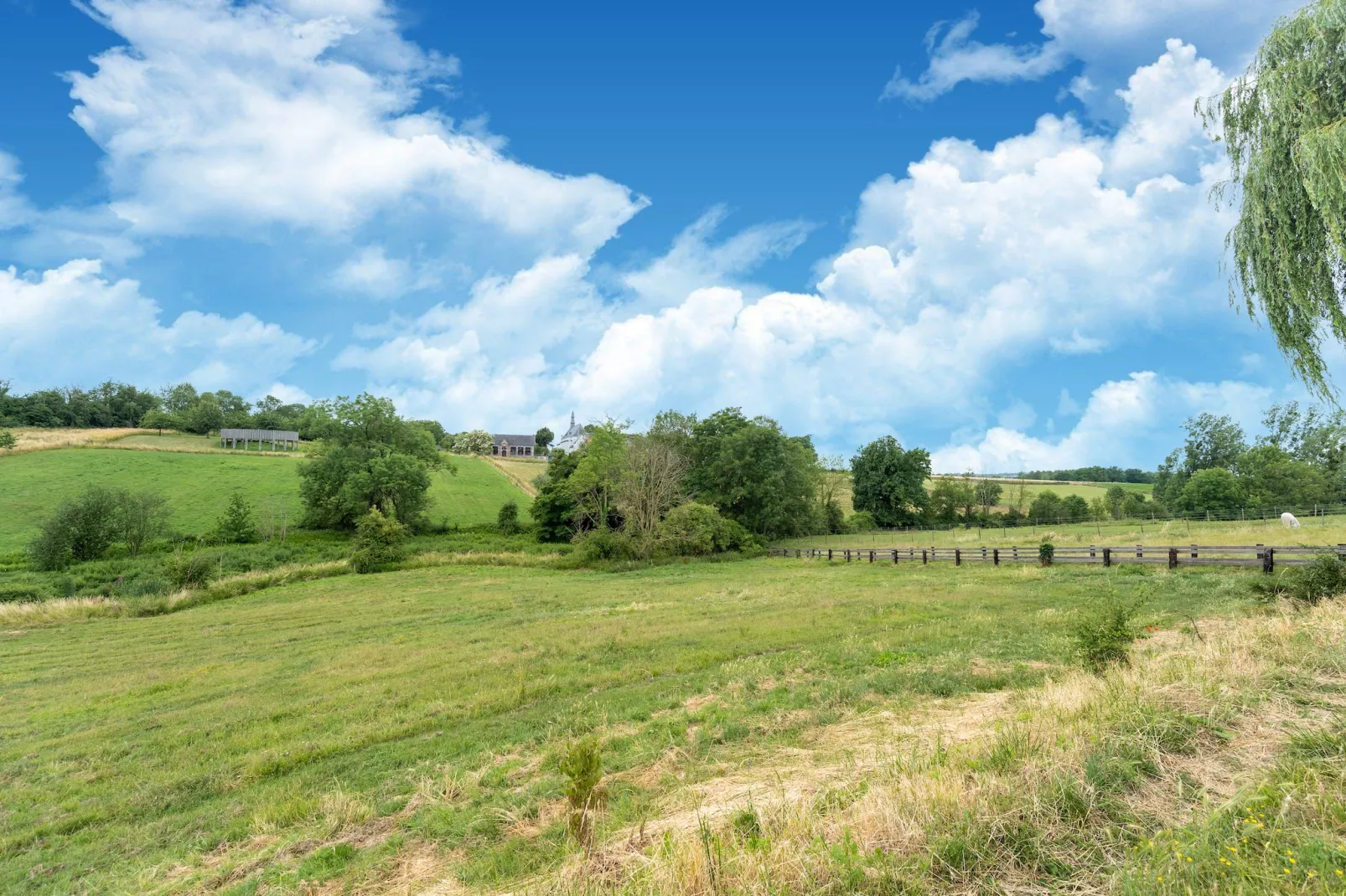 Huis Dries-Gebieden zomer 5km