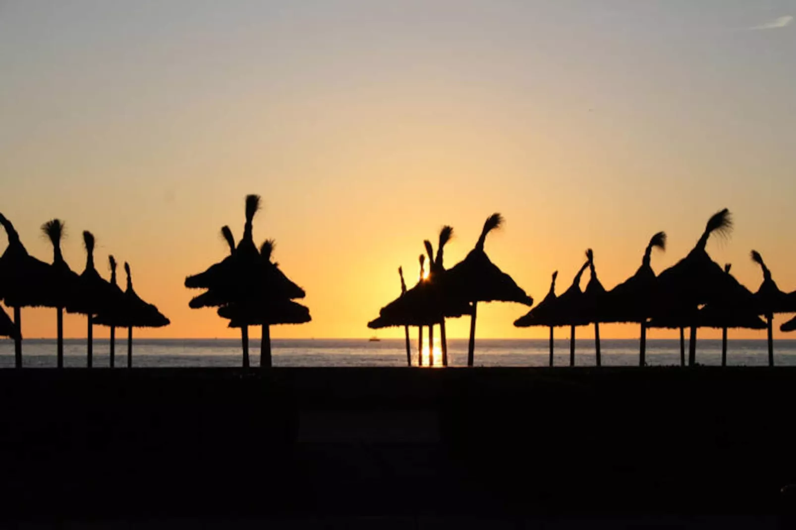 Maison à Muro-Niet-getagd