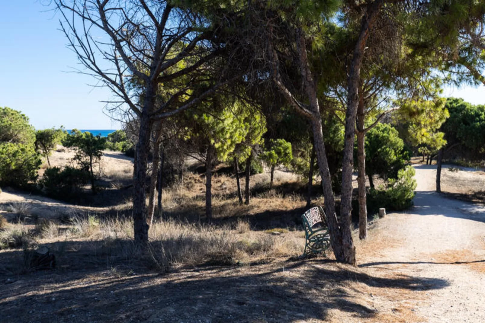 Mobil Home - Bungalow - Cottage à Guardamar del Segura-Niet-getagd