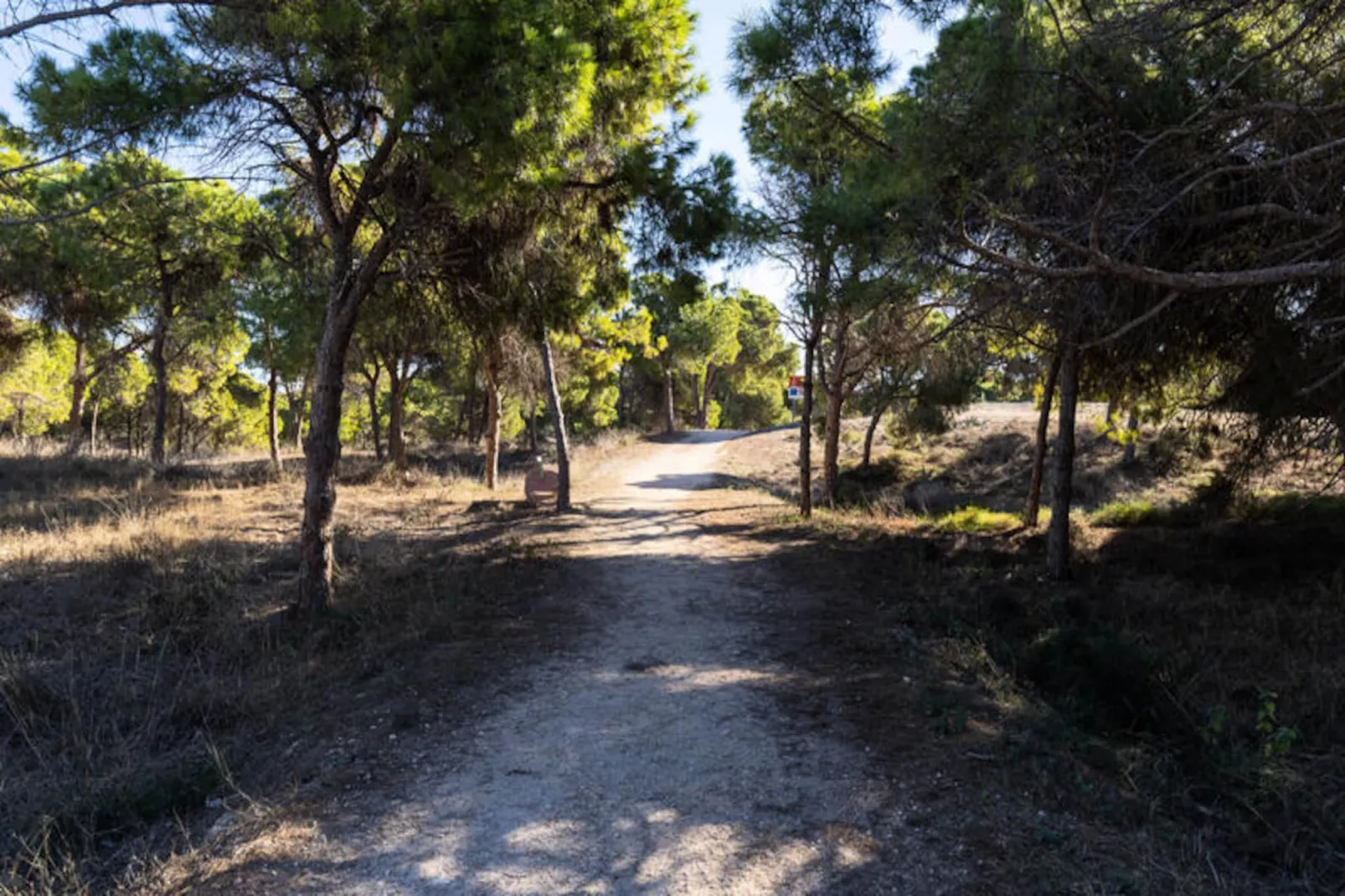 Mobil Home - Bungalow - Cottage à Guardamar del Segura-Niet-getagd