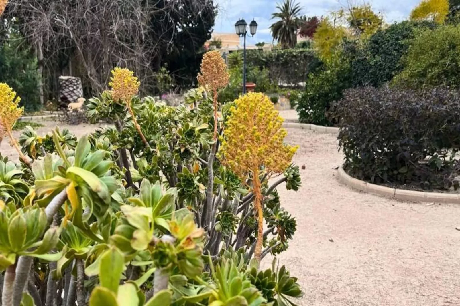 Authentique Finca Espagnole Avec Piscine Priv&eacute;e Et Jardin-Niet-getagd